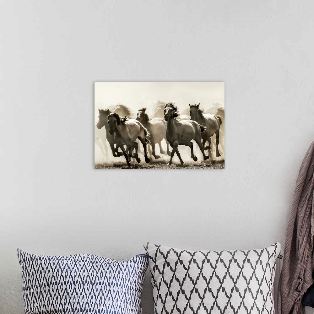 A bohemian room featuring A herd of horses kicking up dust from a fast gallop.