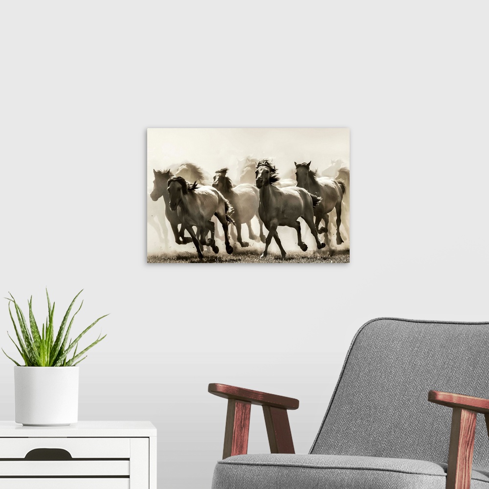 A modern room featuring A herd of horses kicking up dust from a fast gallop.