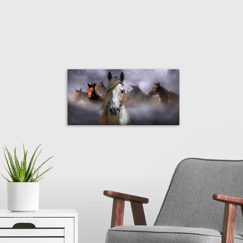 A modern room featuring Horses