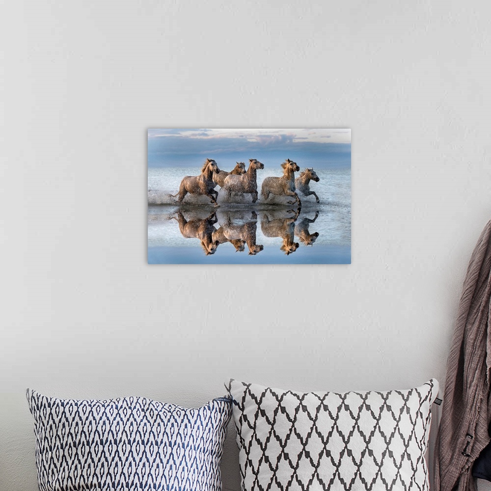 A bohemian room featuring Horses and Reflection