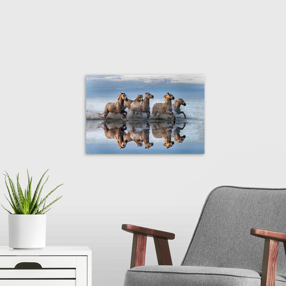 A modern room featuring Horses and Reflection