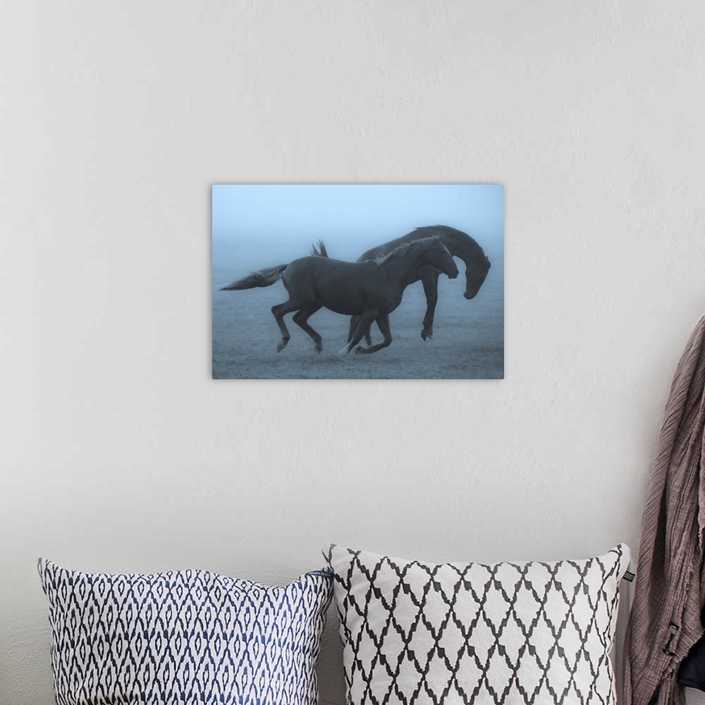 A bohemian room featuring Two horses running and bucking in a misty field in the early morning.