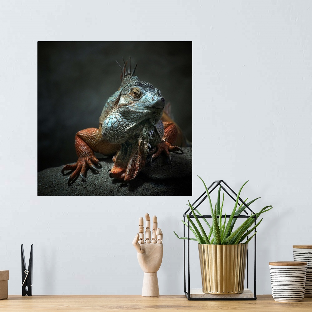 A bohemian room featuring A portrait of a colorful iguana with large claws sitting on a rock.