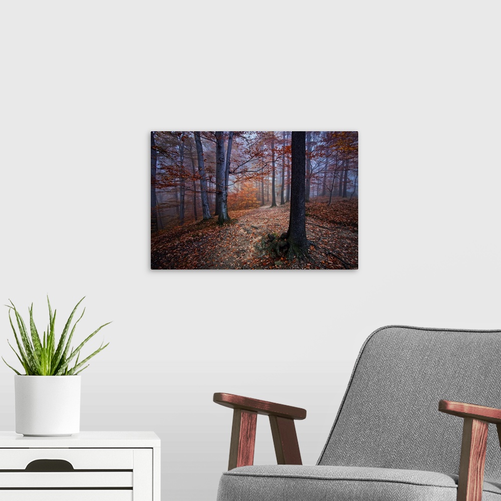 A modern room featuring A dark forest in the fall with leaves all over the ground.