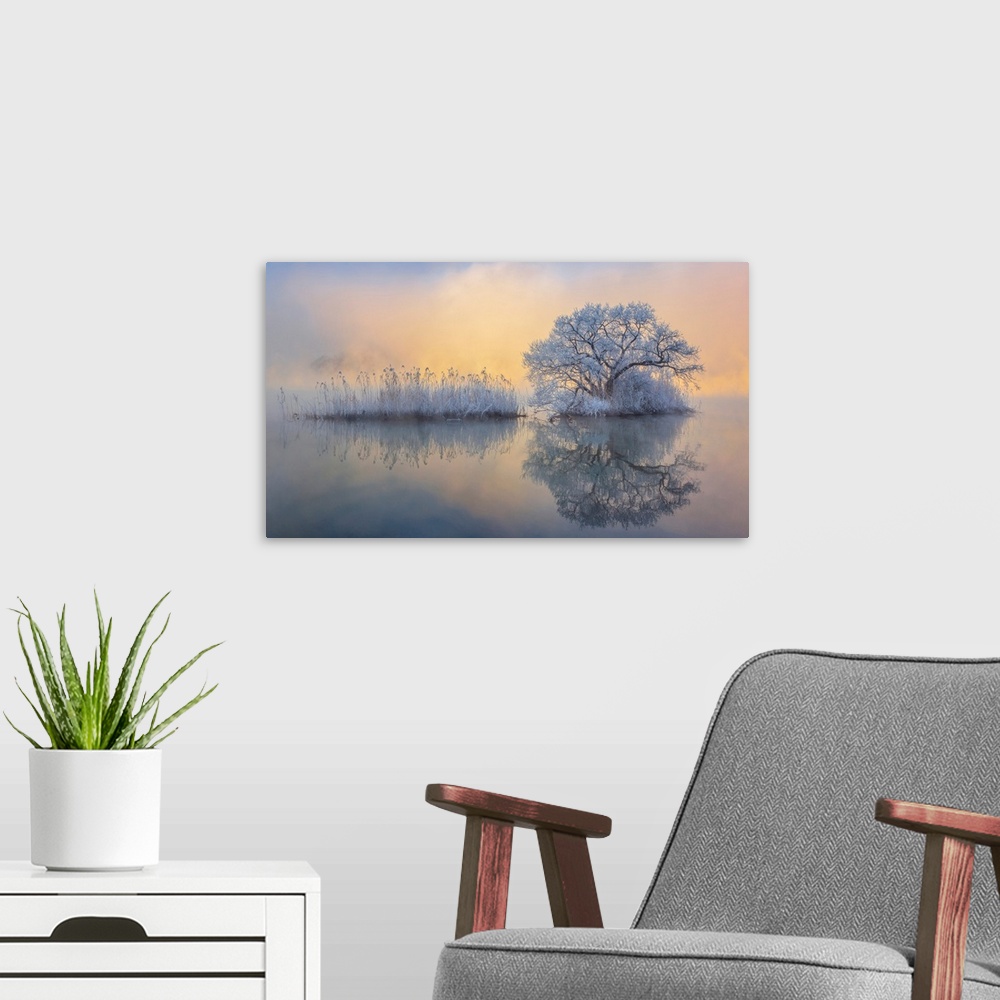 A modern room featuring Ice Tree