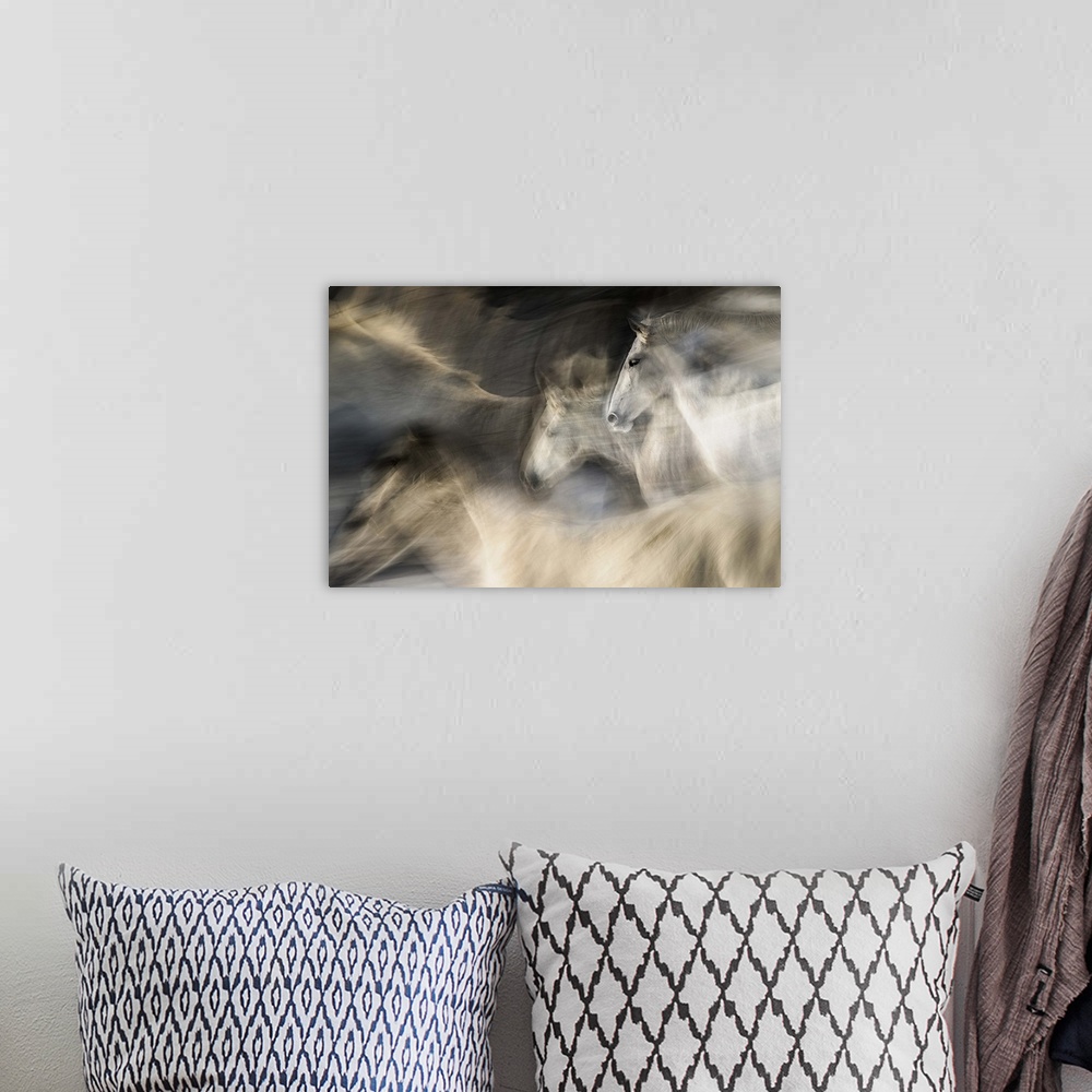 A bohemian room featuring Abstracted motion blurred view of white horses in a gallop.