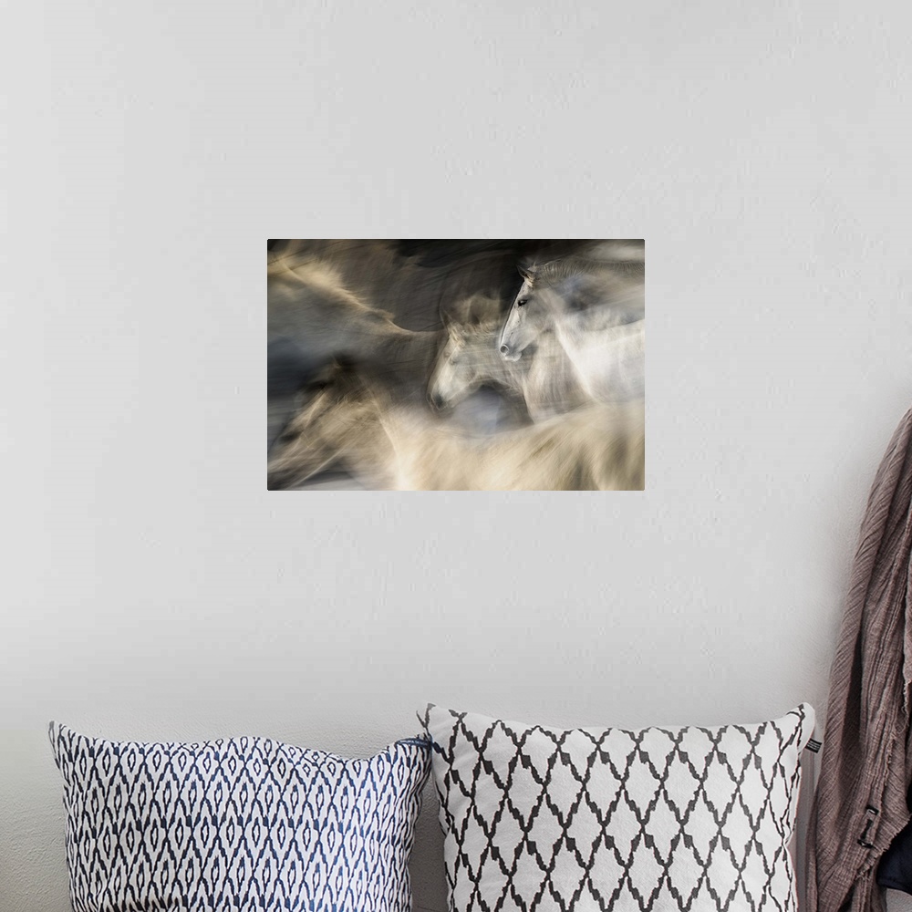 A bohemian room featuring Abstracted motion blurred view of white horses in a gallop.