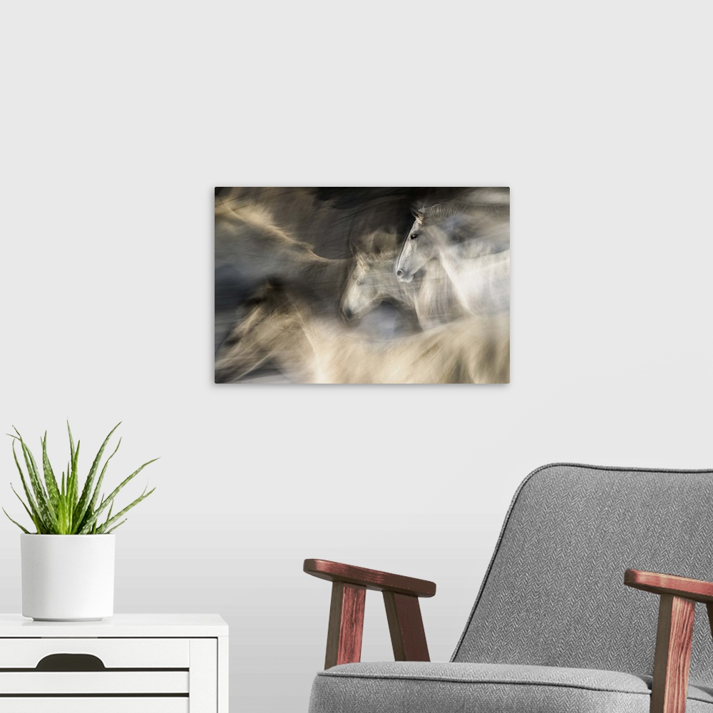 A modern room featuring Abstracted motion blurred view of white horses in a gallop.
