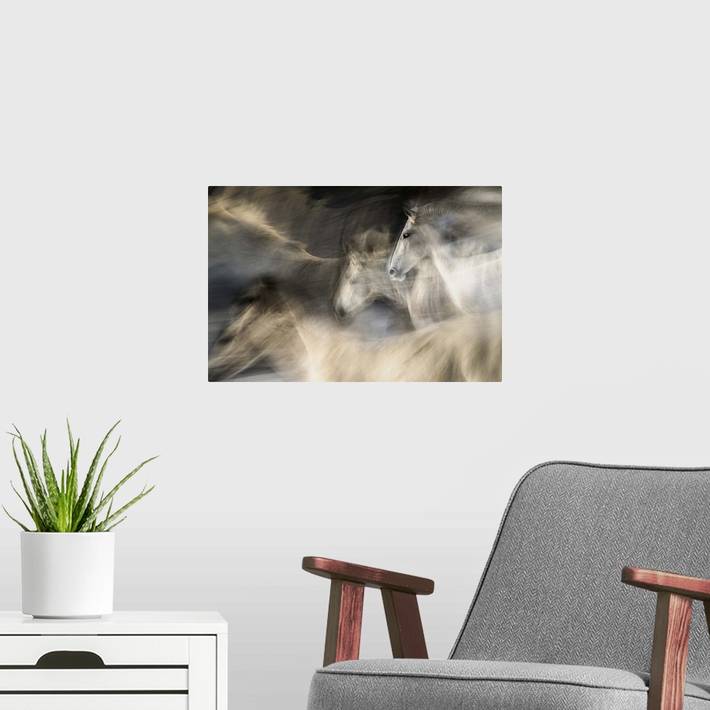A modern room featuring Abstracted motion blurred view of white horses in a gallop.
