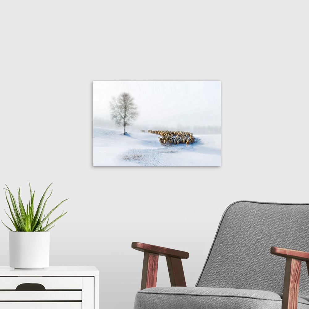 A modern room featuring A flock of sheep being herded through a snowy landscape.
