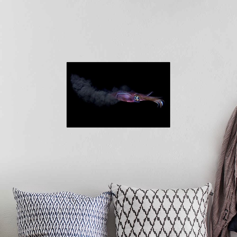 A bohemian room featuring A colorful cuttlefish releases a cloud of ink as it swims away from danger.