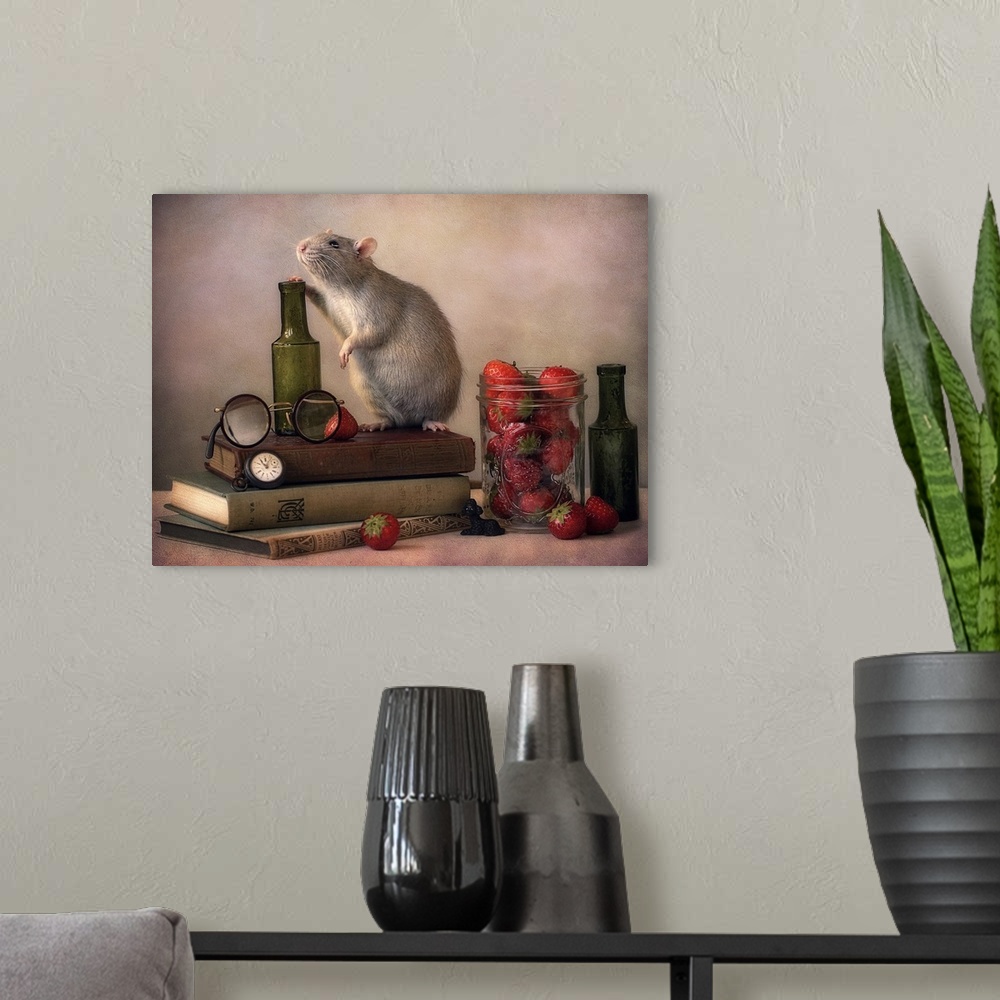 A modern room featuring A conceptual photograph of a mouse standing on a pile of books with small glass bottles and a jar...