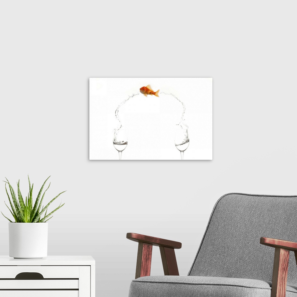 A modern room featuring A goldfish jumps between two wine glasses.