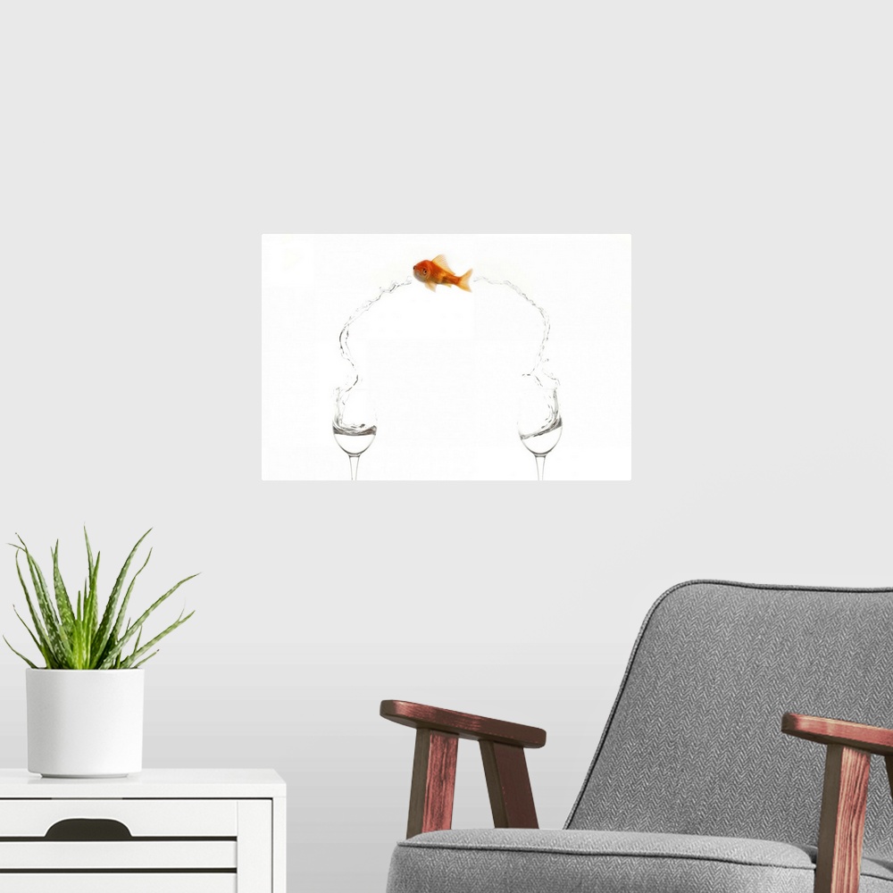 A modern room featuring A goldfish jumps between two wine glasses.