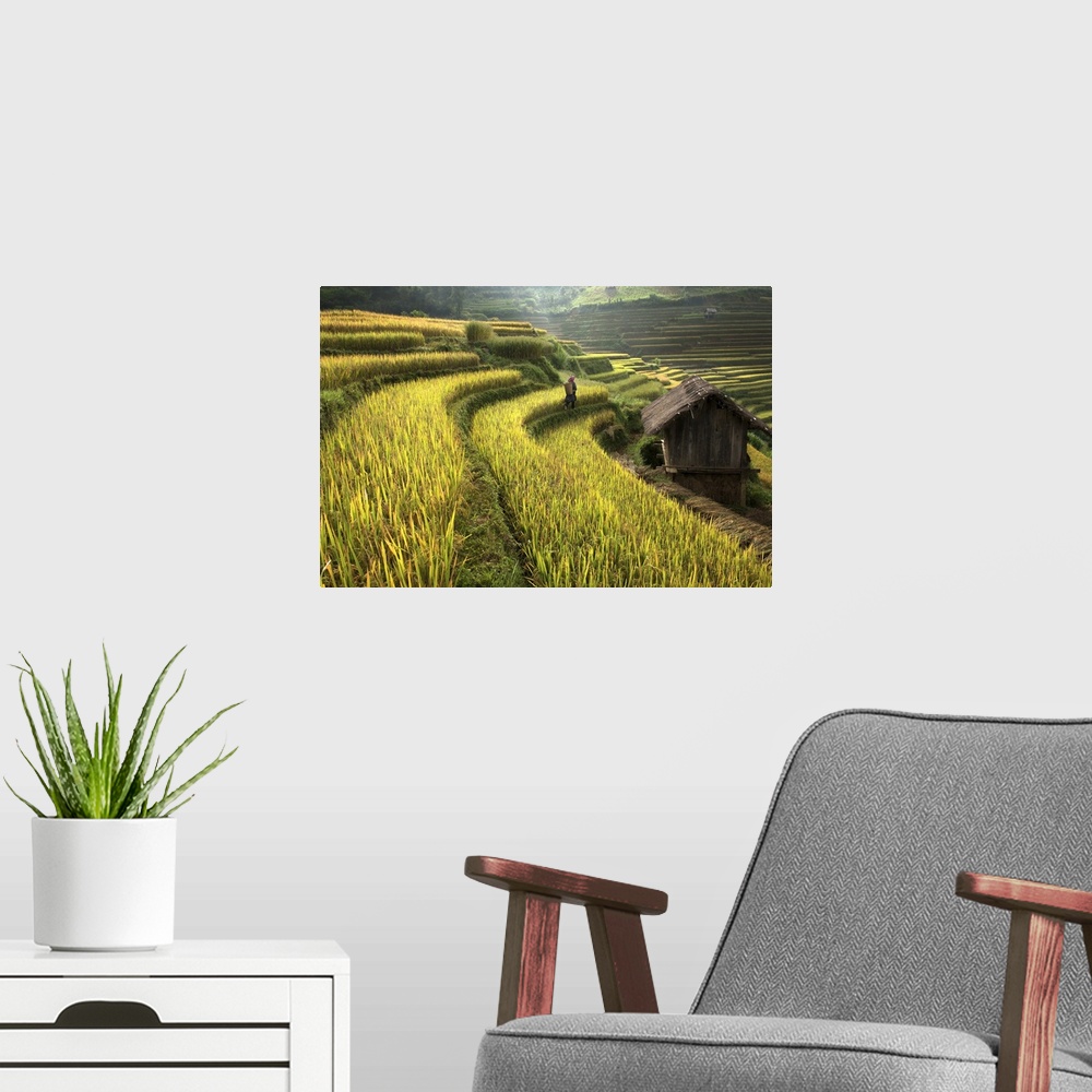 A modern room featuring Landscape photograph of a farmer walking through rice fields.