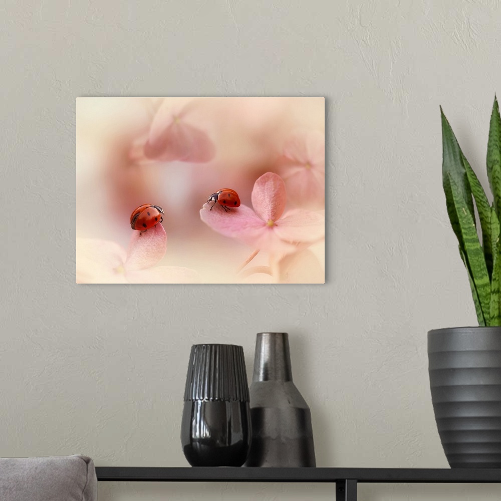 A modern room featuring Ladybirds on Pink Hydrangea