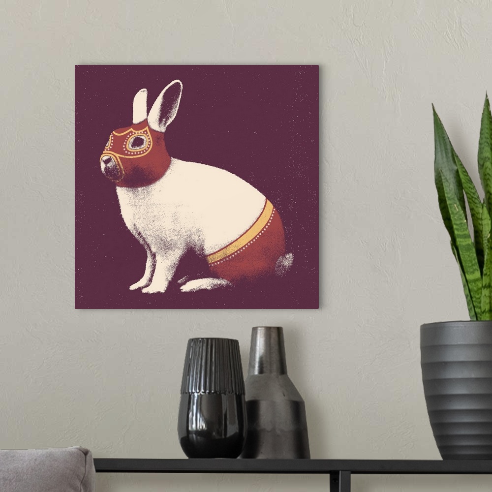 A modern room featuring Lapin Catcheur