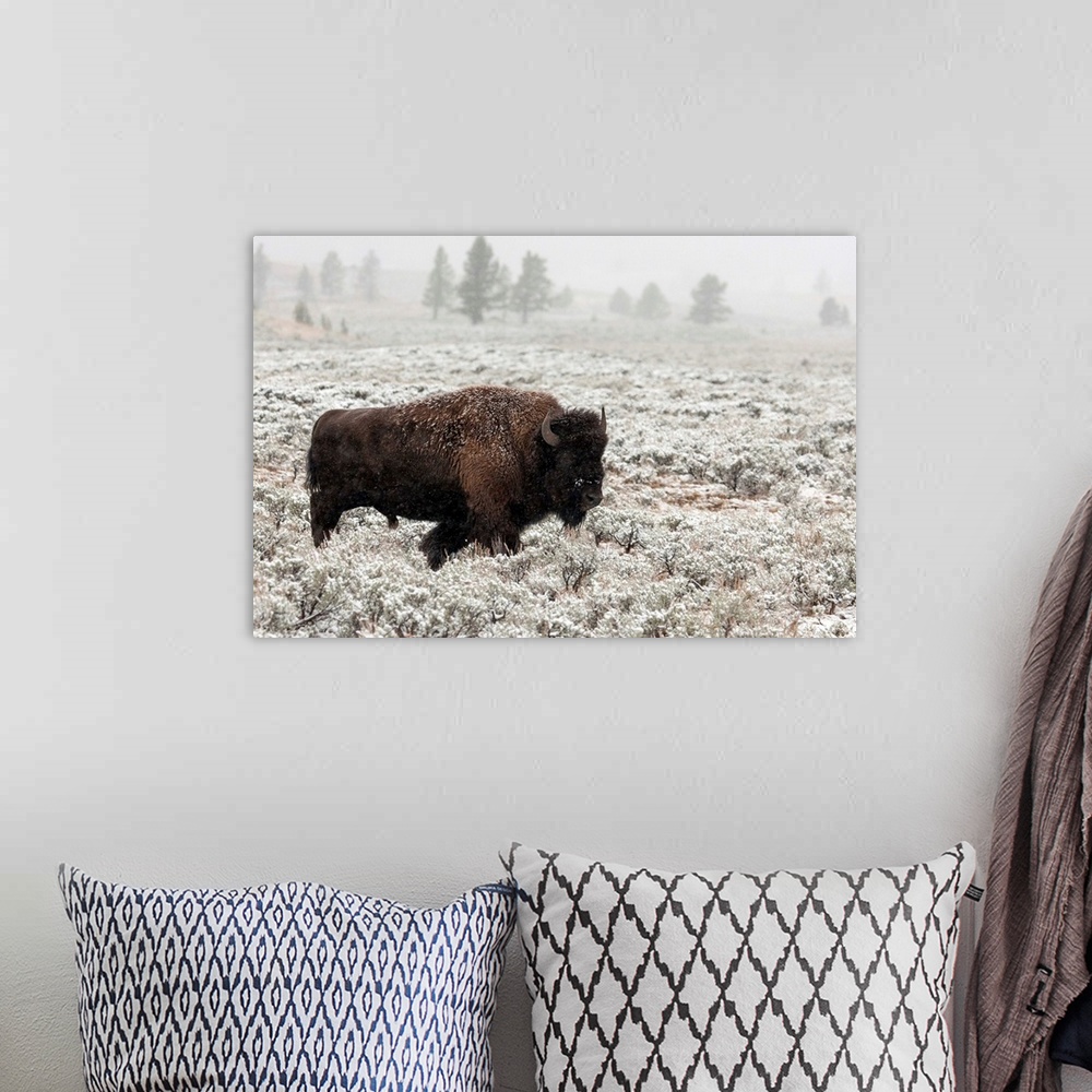 A bohemian room featuring Late Fall Yellowstone