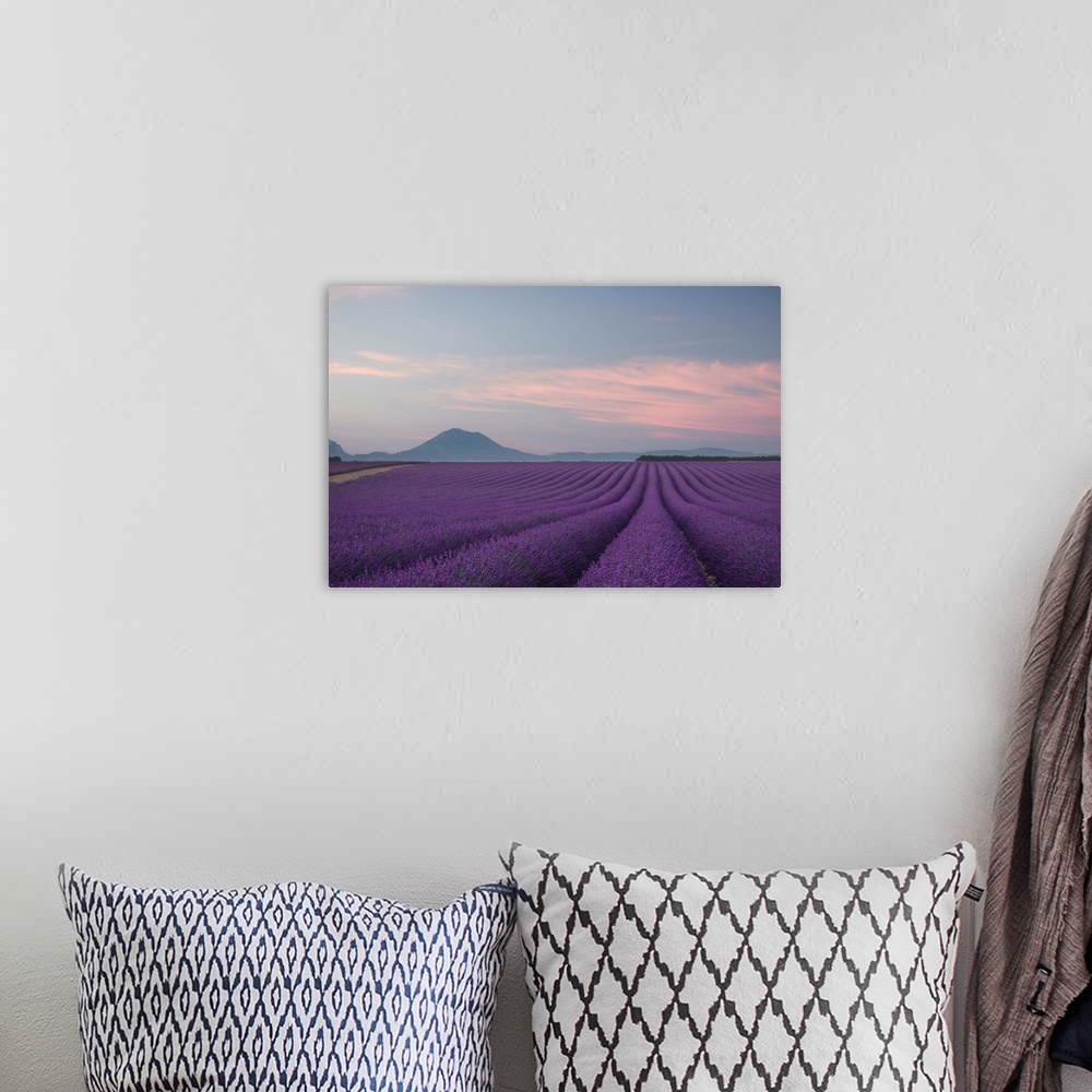 A bohemian room featuring Landscape photograph with a field of rows of lavender and silhouettes of mountains in the backgro...