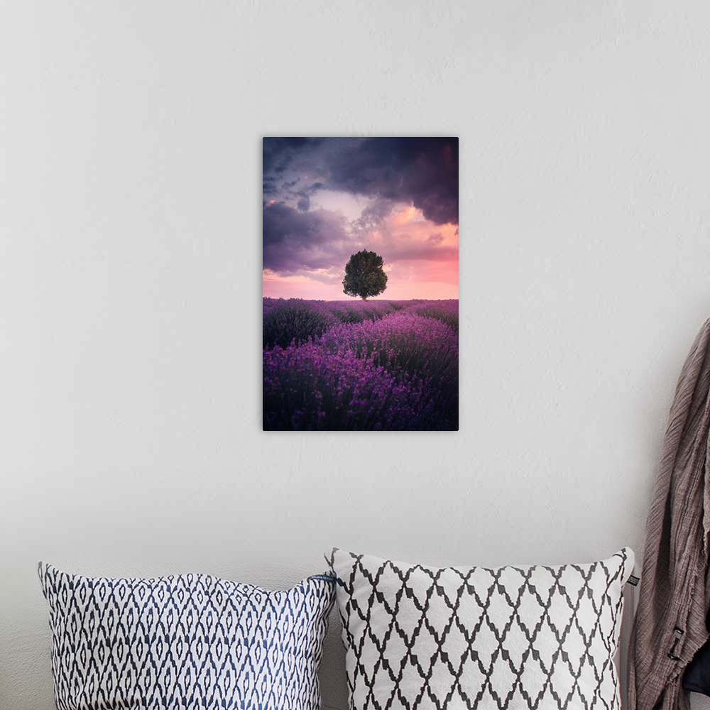 A bohemian room featuring Lavender Fields, Isparta