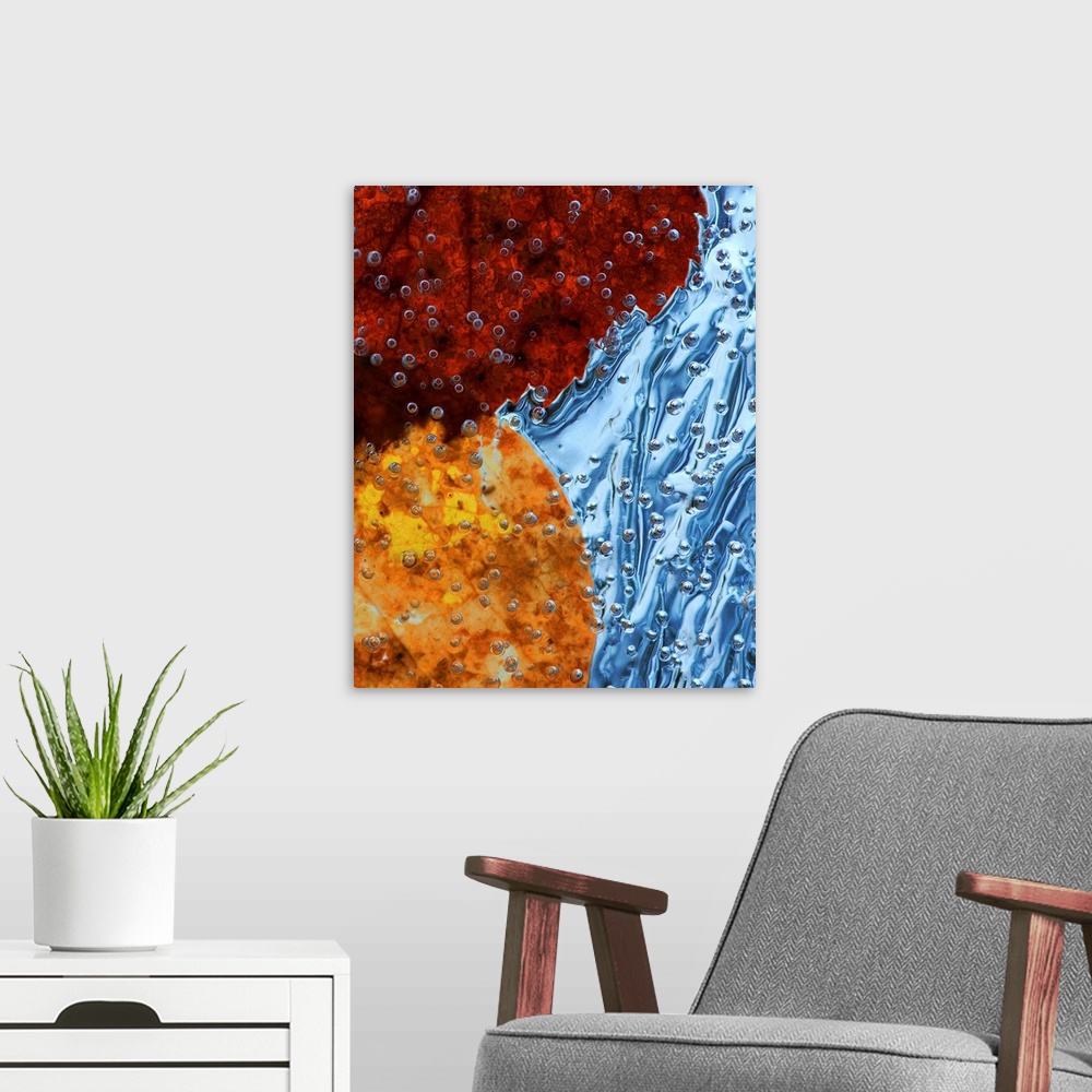 A modern room featuring Close up image of autumn leaves encased in ice with airbubbles.