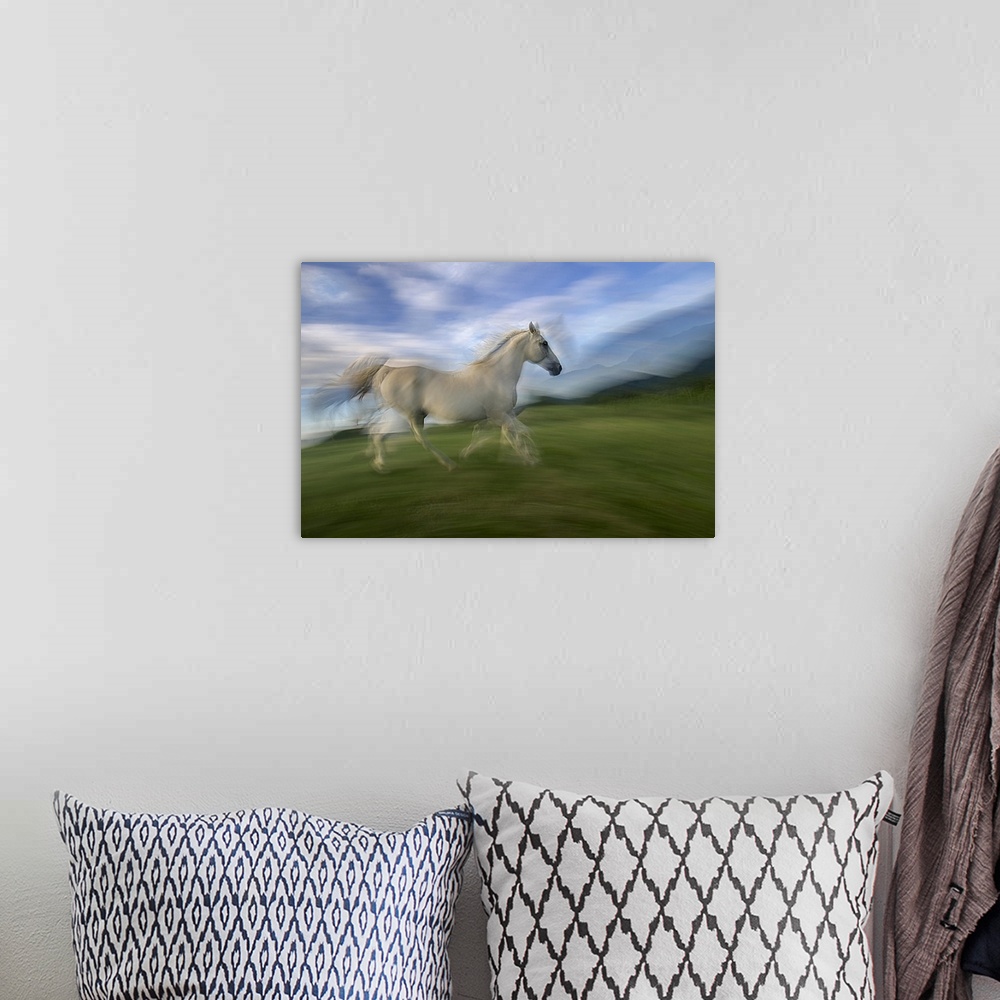 A bohemian room featuring Blurred motion image of a white horse galloping through a green field.