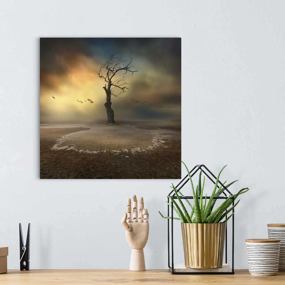 A bohemian room featuring Conceptual image of a tree with bare branches in a dry landscape with cloudy skies.
