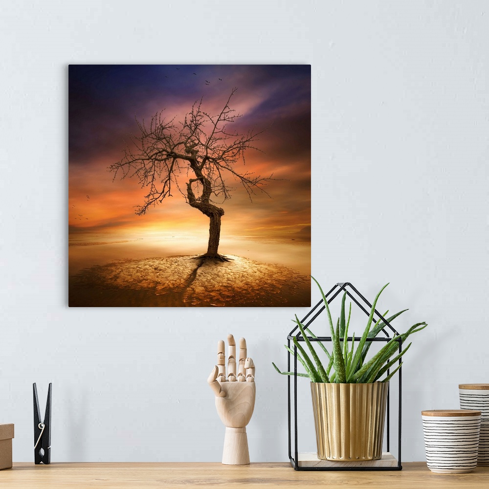 A bohemian room featuring A dramatic photograph of a gnarled tree under a glowing sunset sky.