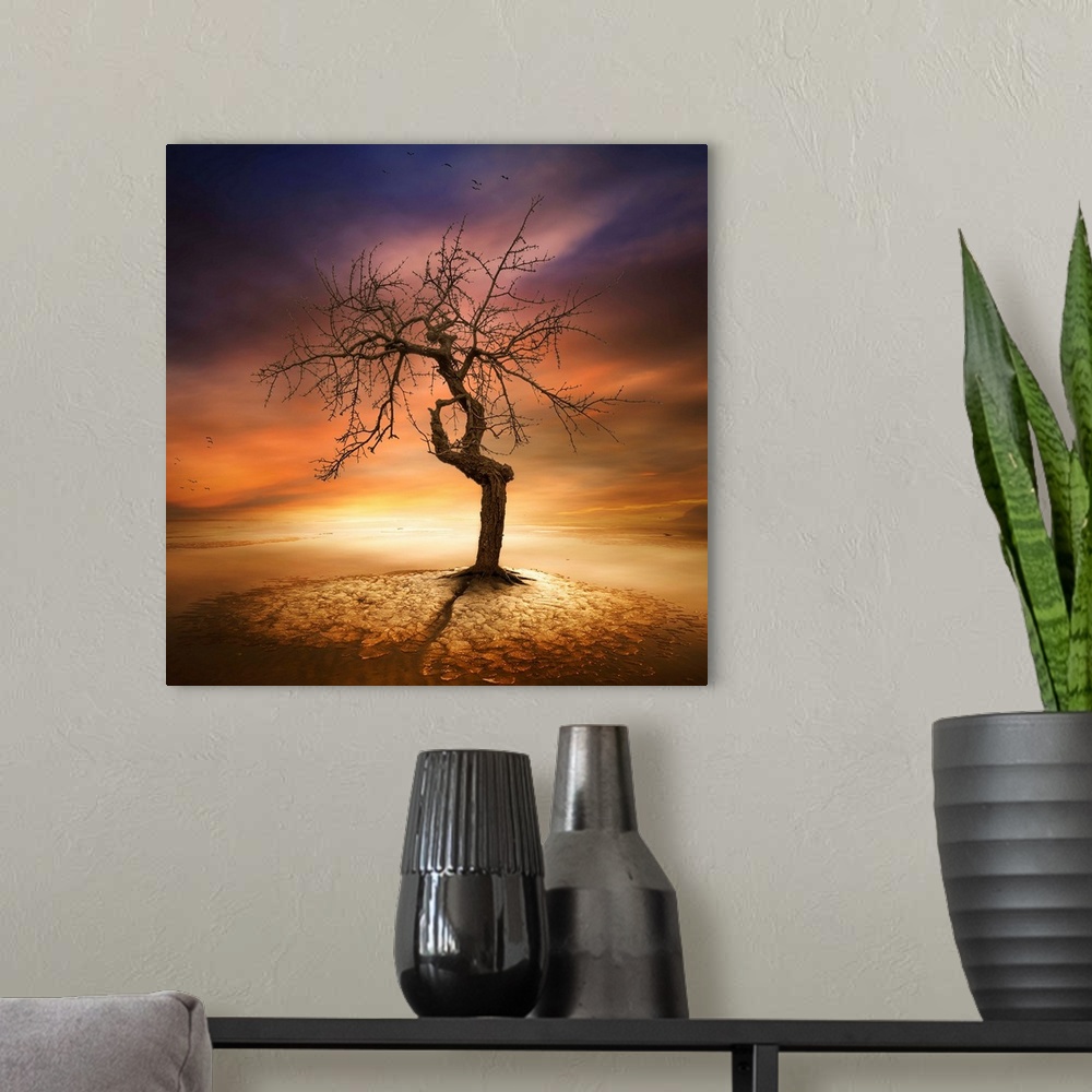 A modern room featuring A dramatic photograph of a gnarled tree under a glowing sunset sky.