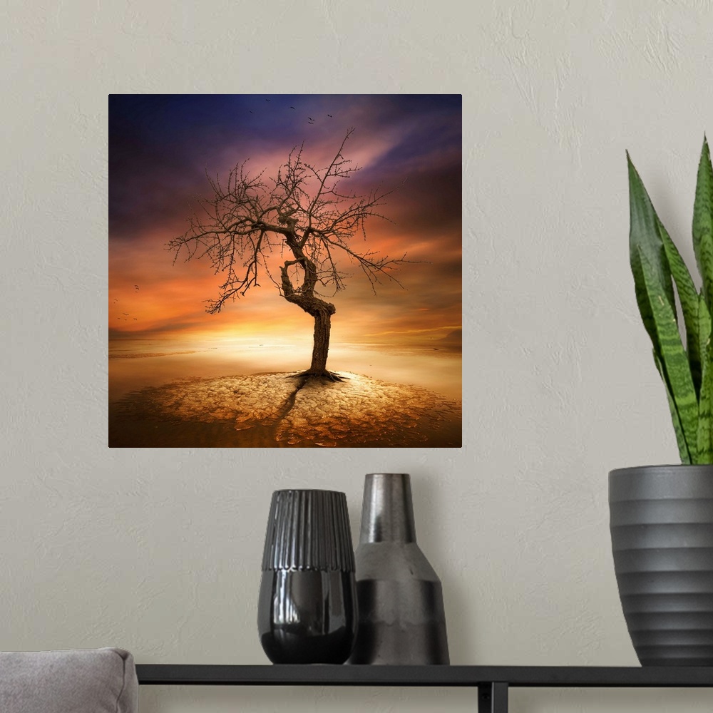 A modern room featuring A dramatic photograph of a gnarled tree under a glowing sunset sky.