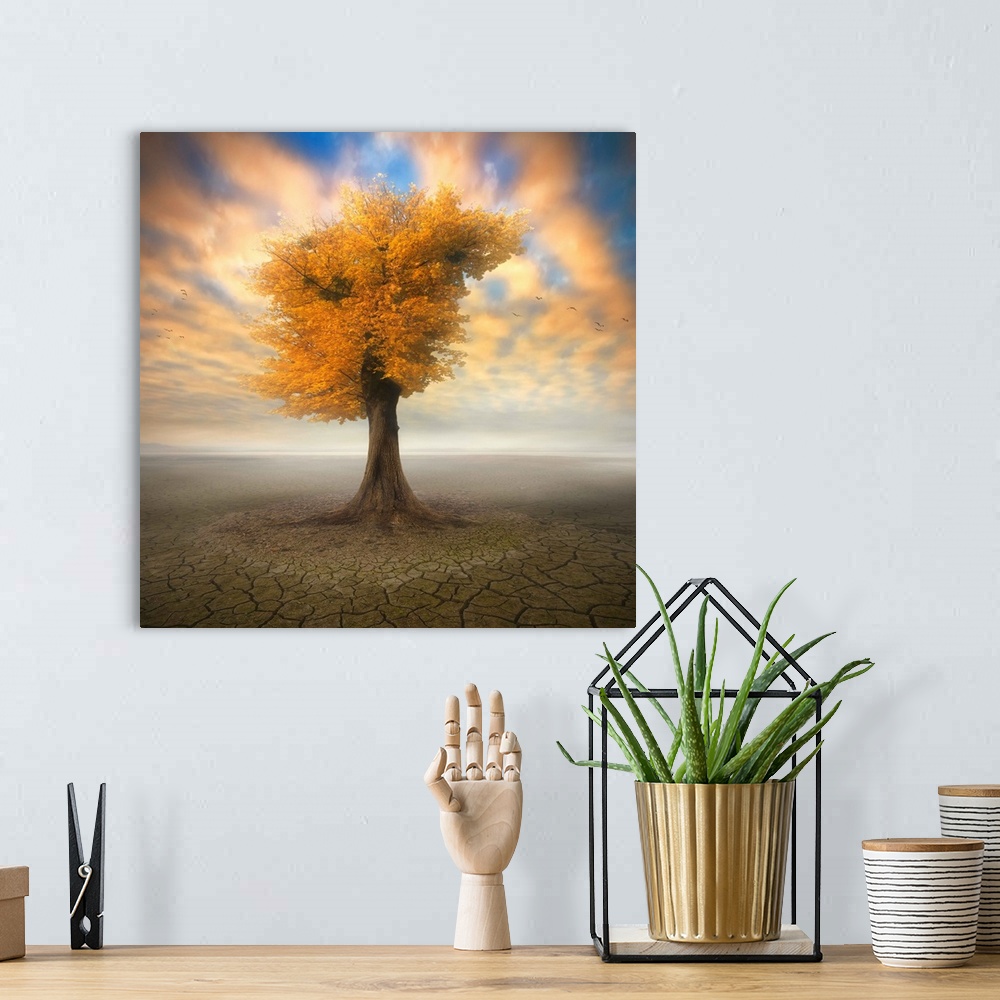 A bohemian room featuring Conceptual image of a tree with fall leaves by itself in an arid desert, with colorful clouds above.