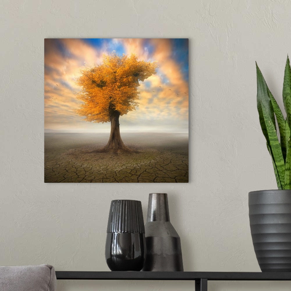A modern room featuring Conceptual image of a tree with fall leaves by itself in an arid desert, with colorful clouds above.