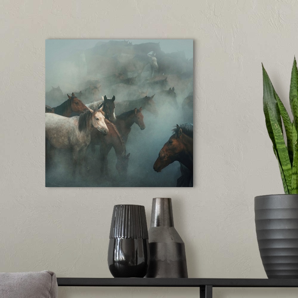 A modern room featuring Lost Horses