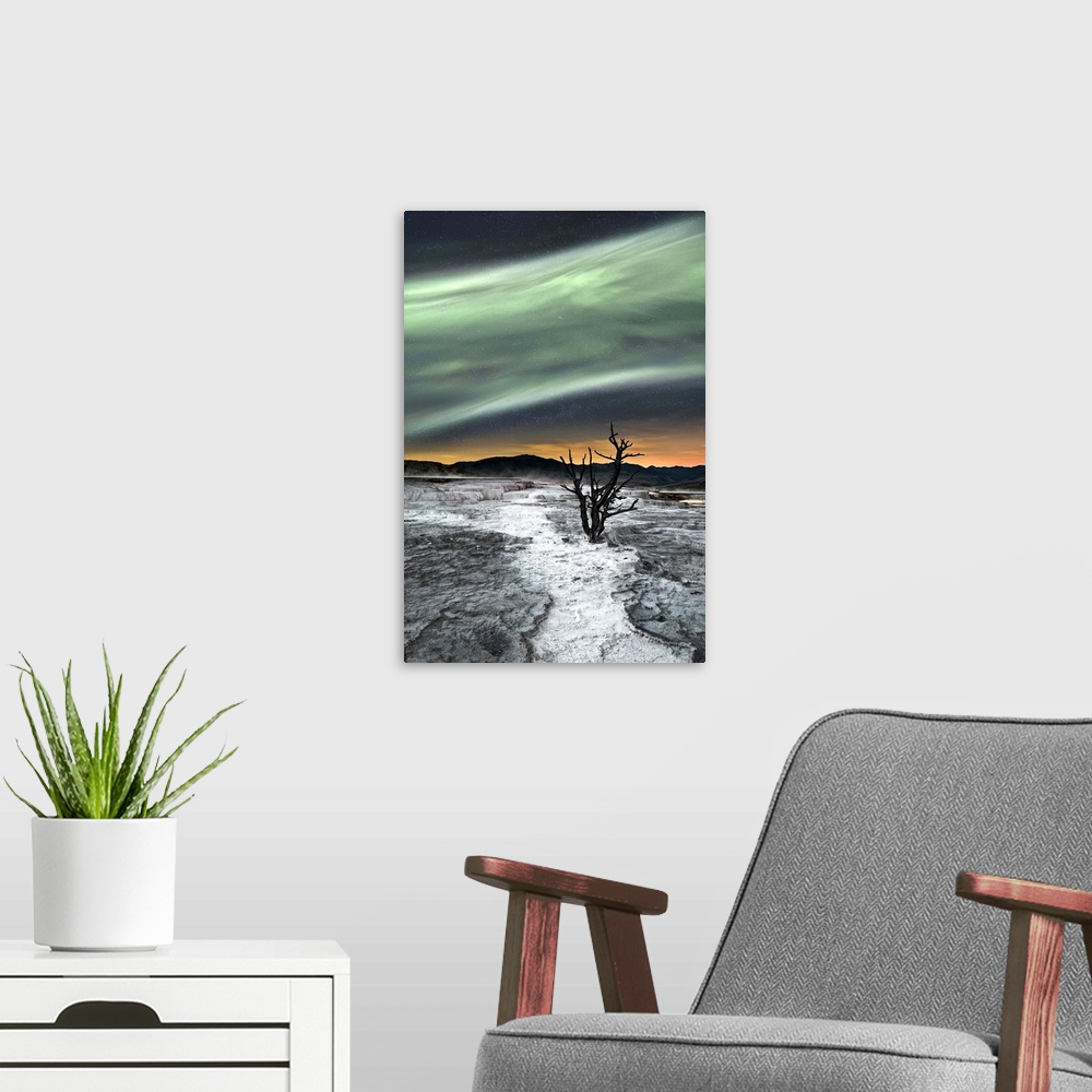 A modern room featuring A barren tree in a rocky landscape under a glowing green aurora borealis.