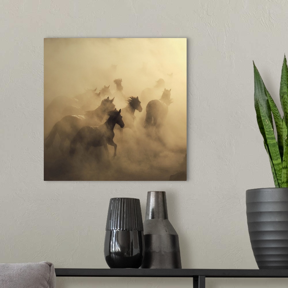 A modern room featuring Migration Of Horses