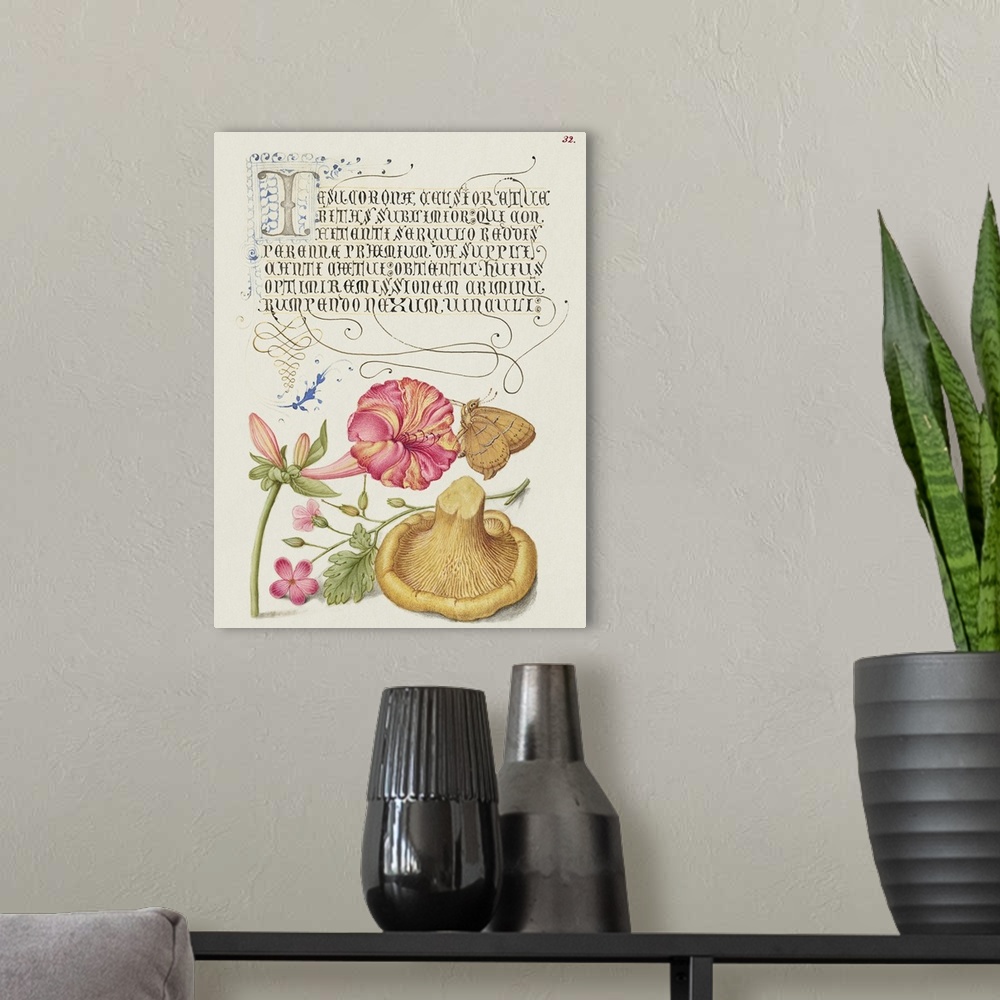 A modern room featuring Four o' Clock, Brown Hairstreak, Herb Robert, and Chanterelle from Mira Calligraphiae Monumenta o...