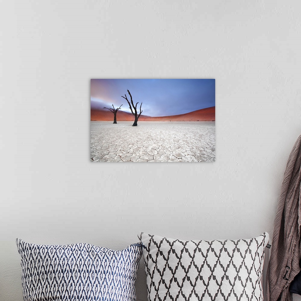 A bohemian room featuring Two barren trees in the desert landscape on a foggy morning, Sossusvlei, Namibia.