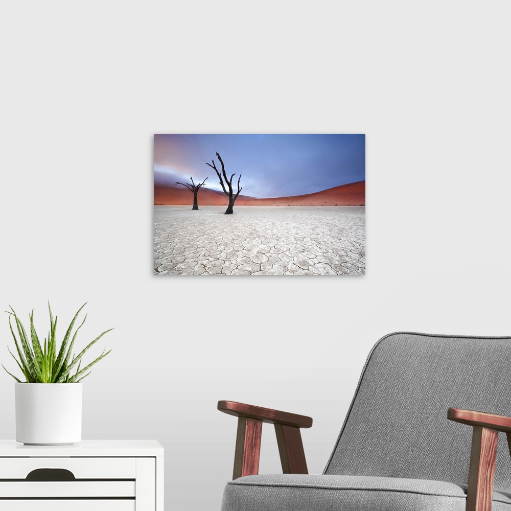 A modern room featuring Two barren trees in the desert landscape on a foggy morning, Sossusvlei, Namibia.