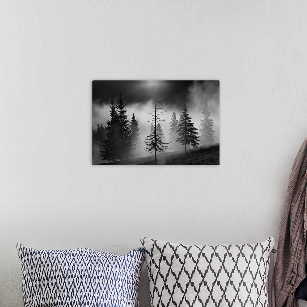 A bohemian room featuring A foggy forest landscape with a half bare tree in the foreground.
