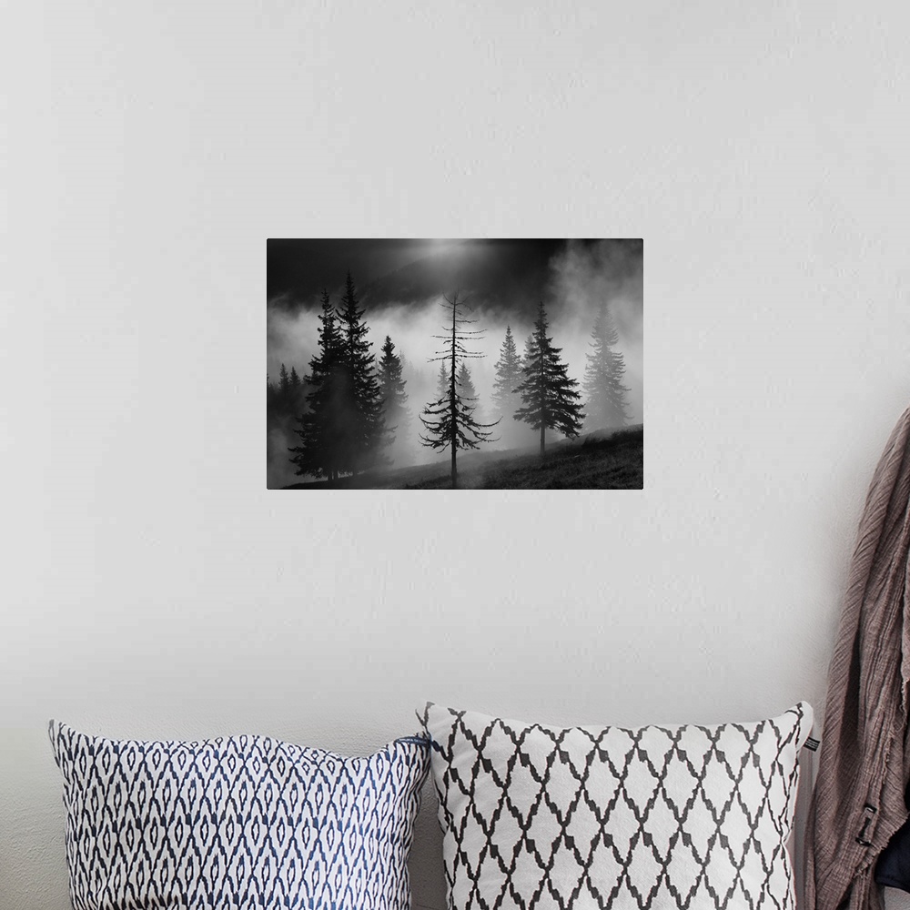 A bohemian room featuring A foggy forest landscape with a half bare tree in the foreground.