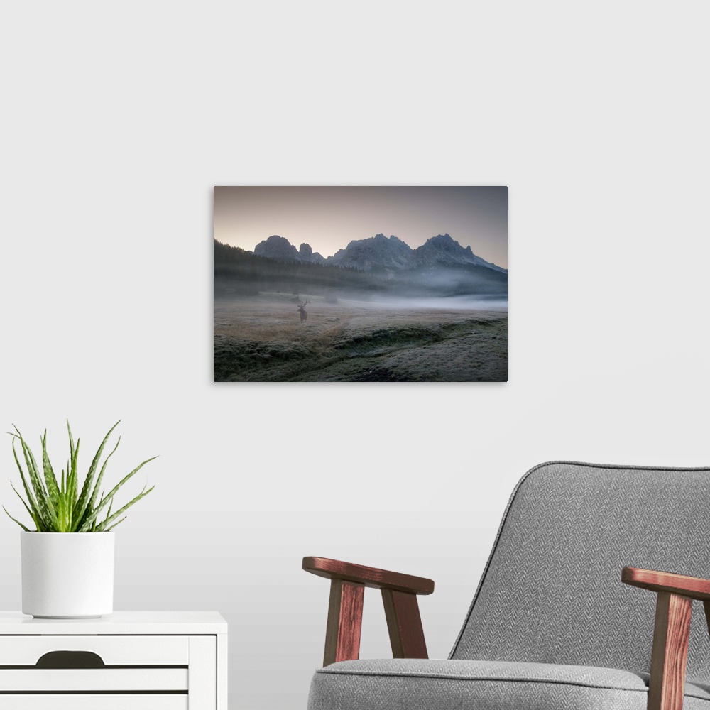 A modern room featuring An elk stands in a misty valley all alone in the morning, with towering mountains in the background.