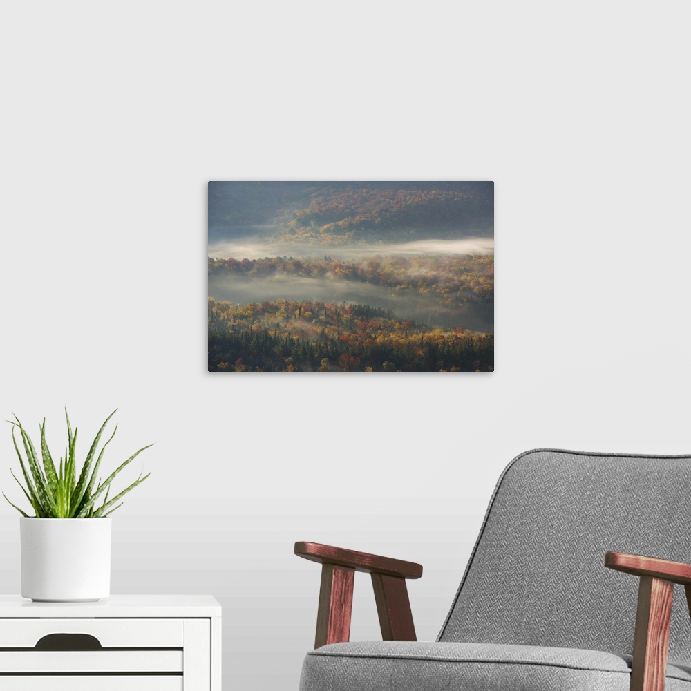 A modern room featuring Misty Morning