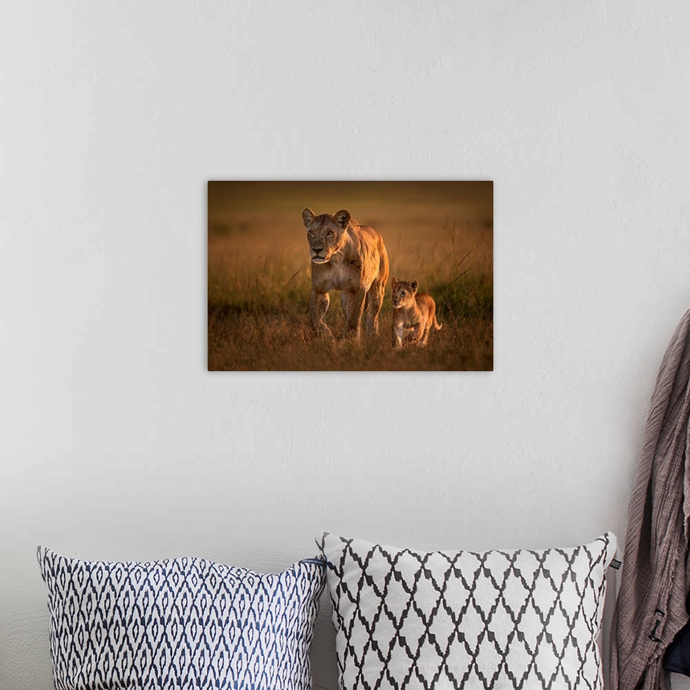 A bohemian room featuring Mom Lioness With Cub