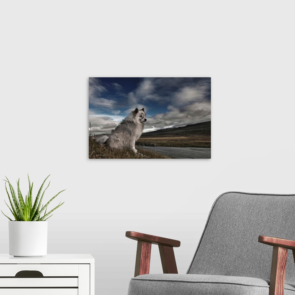 A modern room featuring A grey and white dog sitting by the edge of a river in a rural landscape with clouds in the sky.
