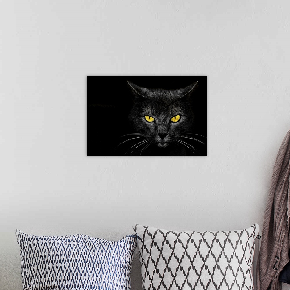 A bohemian room featuring Intense stare of a black cat with bright yellow eyes.