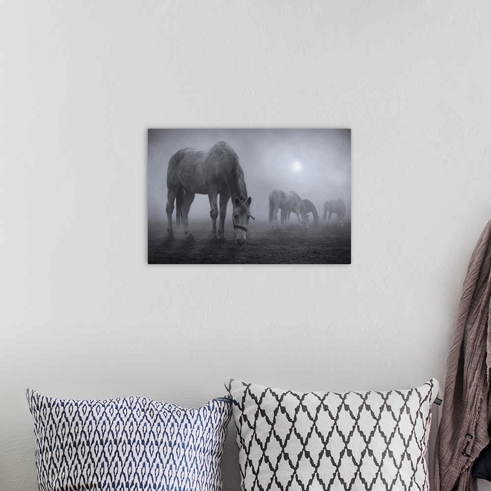 A bohemian room featuring Horses grazing in a field shrouded in fog.