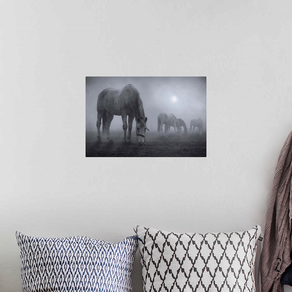 A bohemian room featuring Horses grazing in a field shrouded in fog.