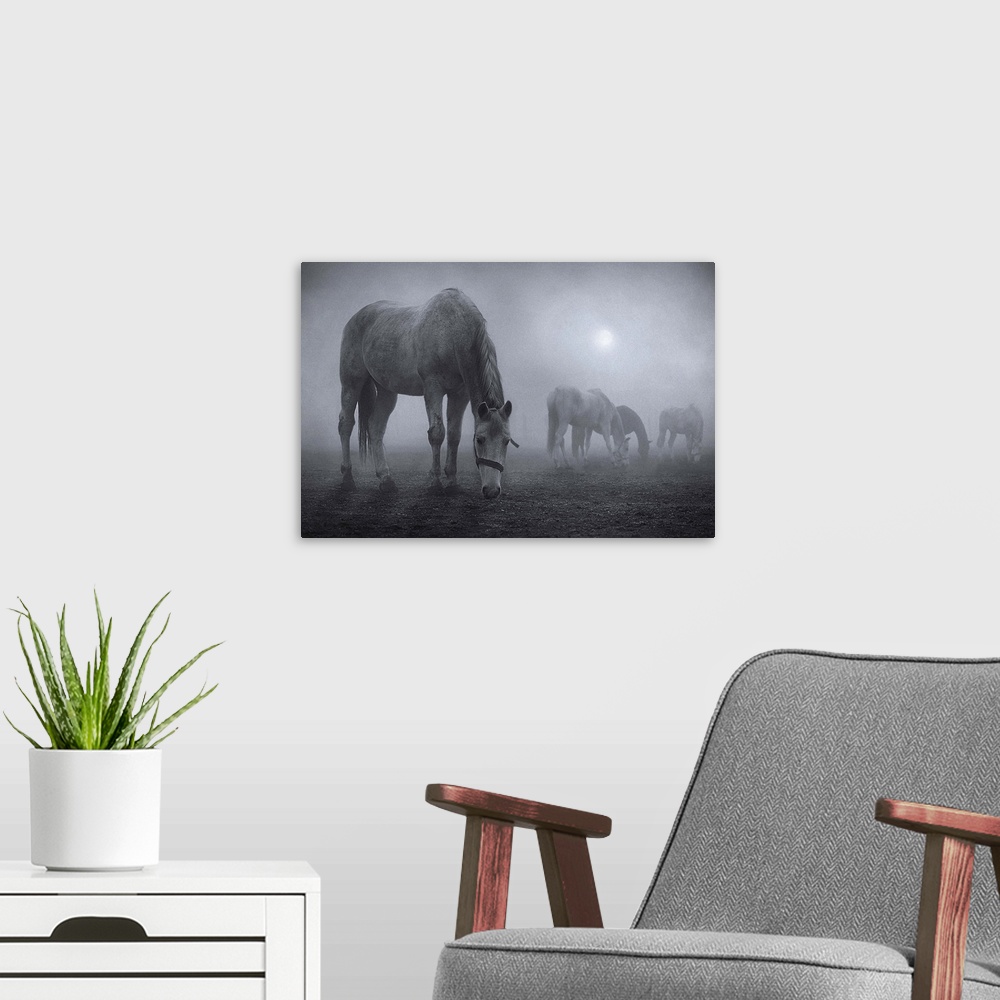 A modern room featuring Horses grazing in a field shrouded in fog.