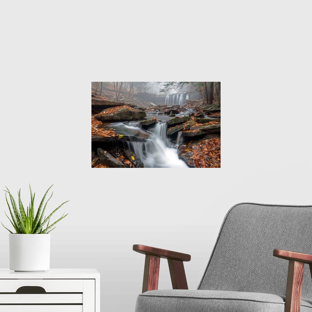 A modern room featuring A waterfall and stream with a rocky bed and fallen leaves in a misty forest in Ricketts Glen, Pen...