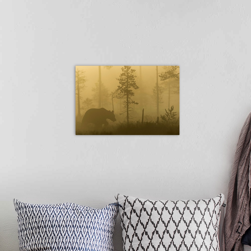 A bohemian room featuring Silhouette of a bear walking in a misty forest in the morning in Finland.